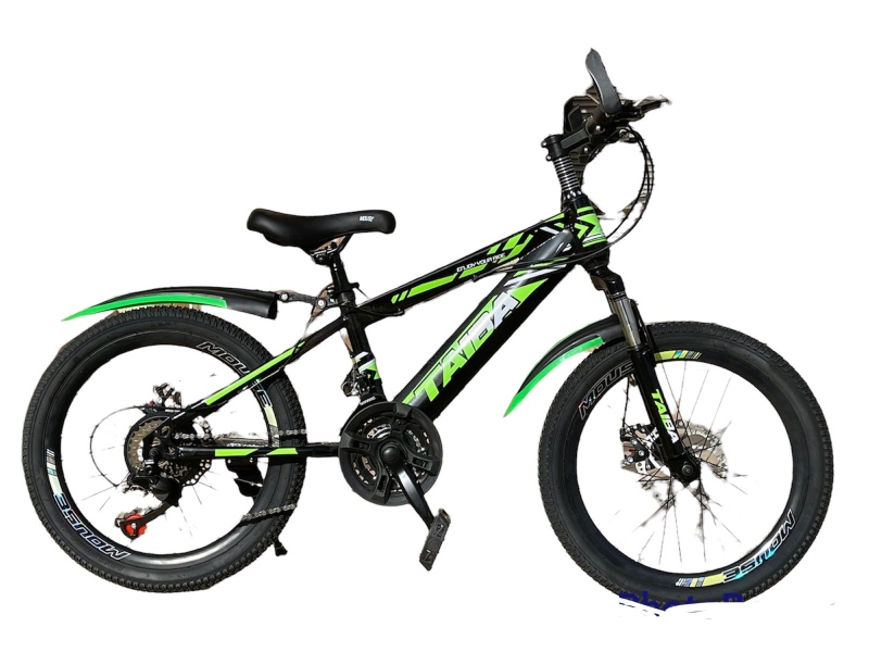 20 inch Black and Green bicycle for kids