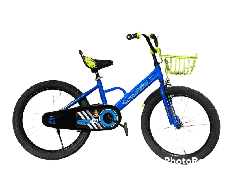 20 inch Blue  bicycle for kids