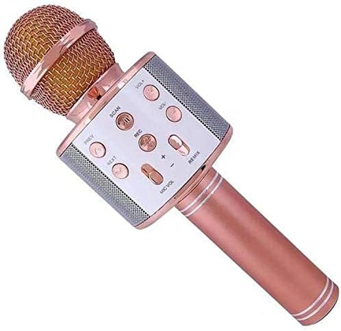 Bluetooth Karaoke Microphone Speaker WS-858
