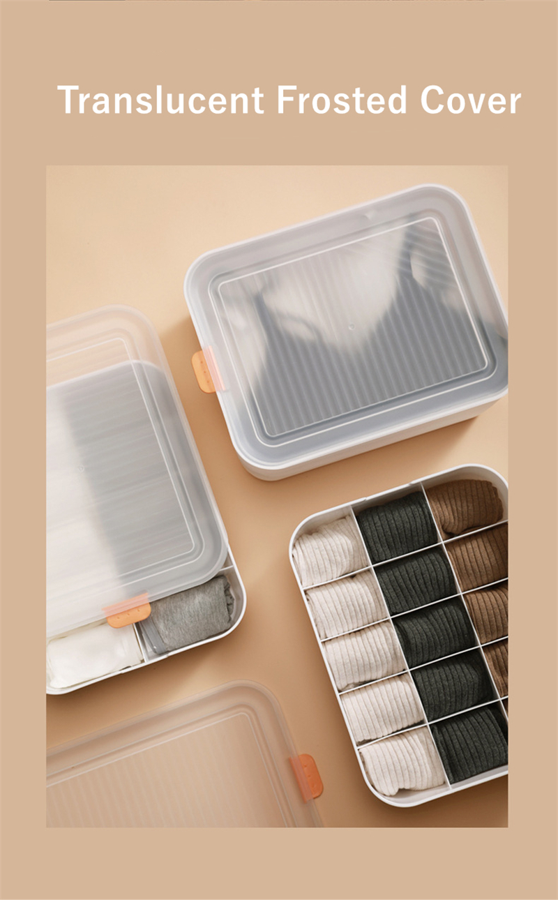 Plastic Underwear Storage Box With Lid Closet Organizer Drawer For Underwear Socks Box Bra
