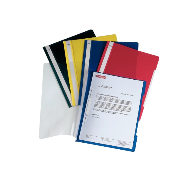 Leitz Standard Clear View Plastic File (Colored Back) / Pack of 10 Assorted Colors