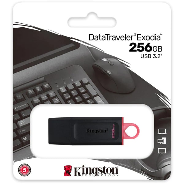 Kingston USB Flash Drive 256 GB