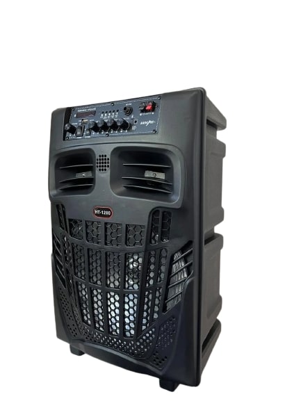 Portable Bluetooth Speaker Outdoor/Indoor Big Speaker Support Remote Control FM Radio
