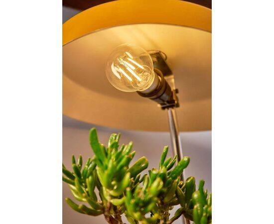 Shelly - Smart Dimmable LED Bulb (Vintage A60)